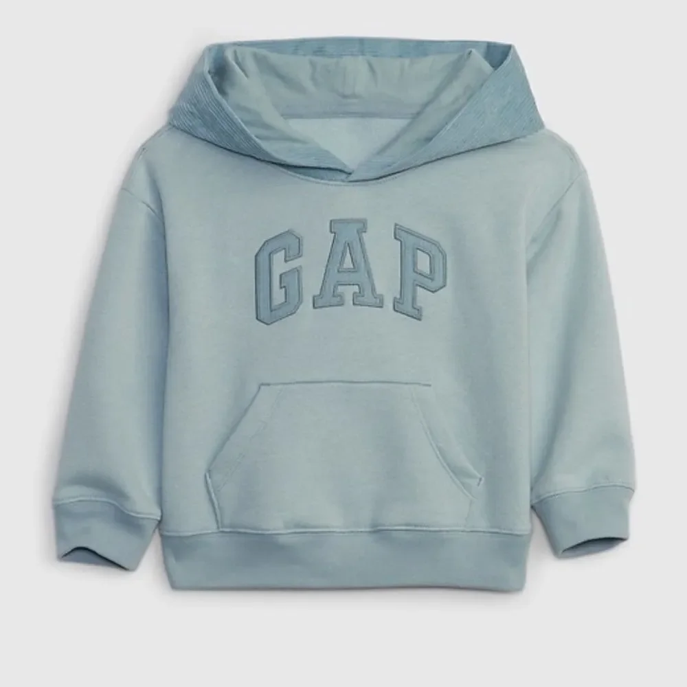 Gap Boys Toddler Blue Pullover Hoodie(Size 5yrs)